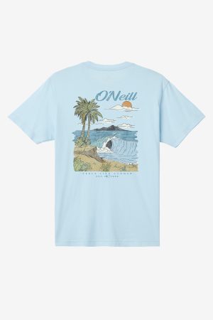 Shorebreak Standard Fit Tee