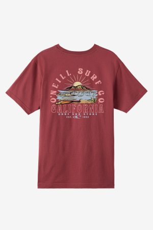 Surf. Sun. Stoke Standard Fit Tee
