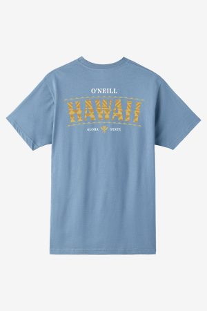 Boy's Hawaii Arch Tee