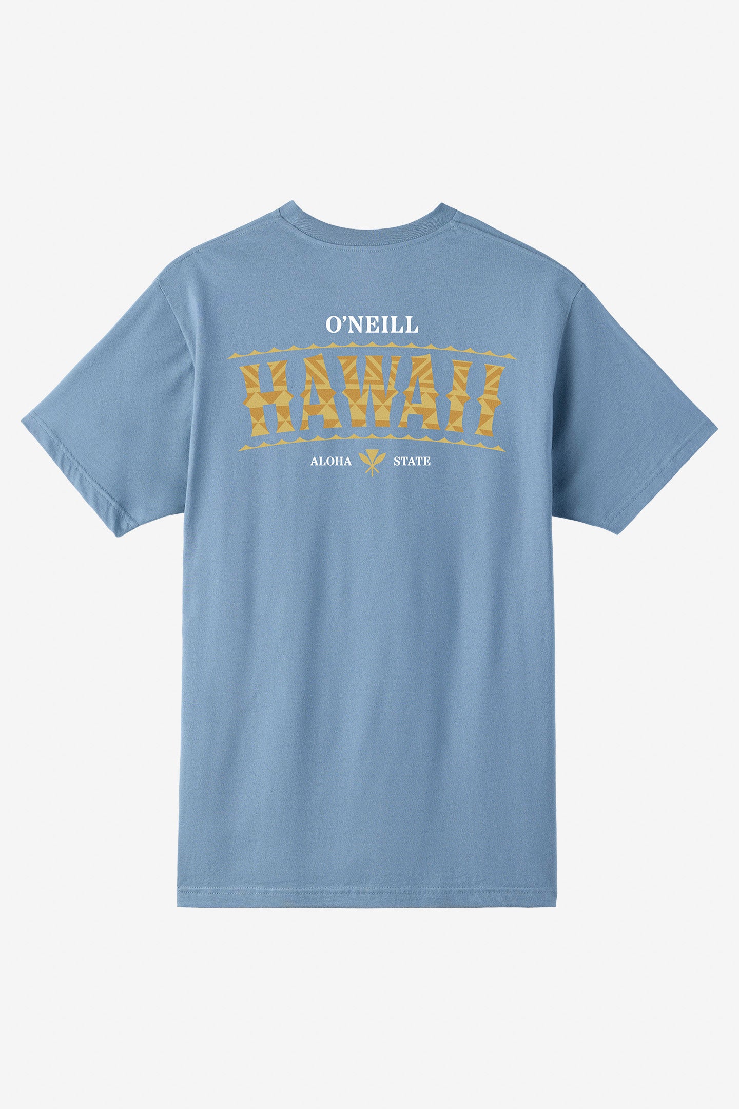 Boy's Hawaii Arch Tee