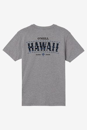 Boy's Hawaii Arch Tee