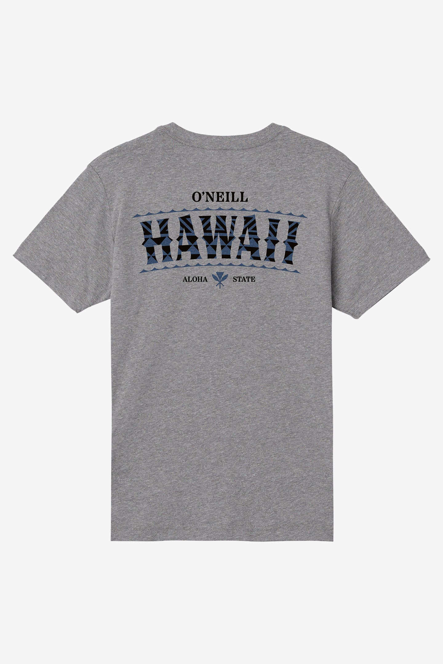 Boy's Hawaii Arch Tee