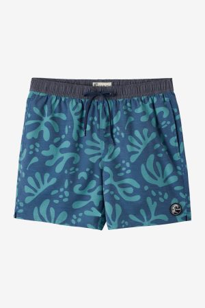 O'Riginals Volley 16 Swim Trunks