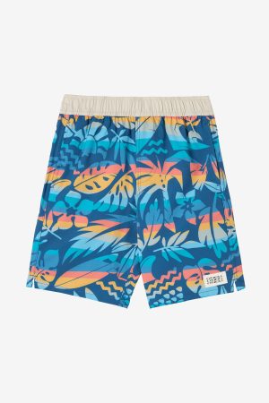 Little Boy's Hermosa Elastic Waist 16 Swim Trunks