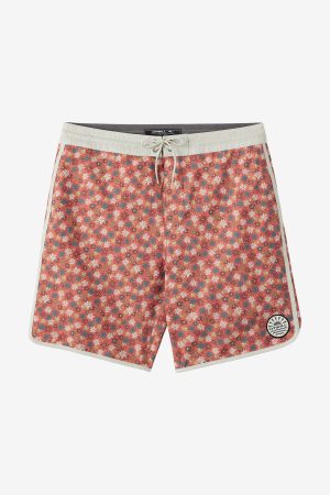Cruzer Scallop 18 Boardshorts