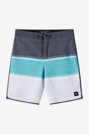 Lennox Scallop 19 Boardshorts