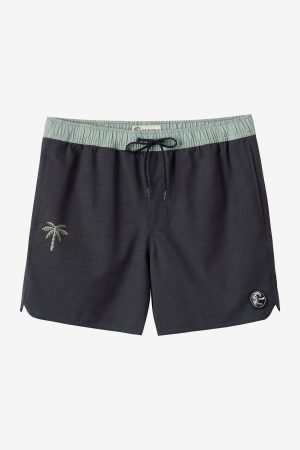 O'Riginals Solid Scallop 16 Swim Trunks