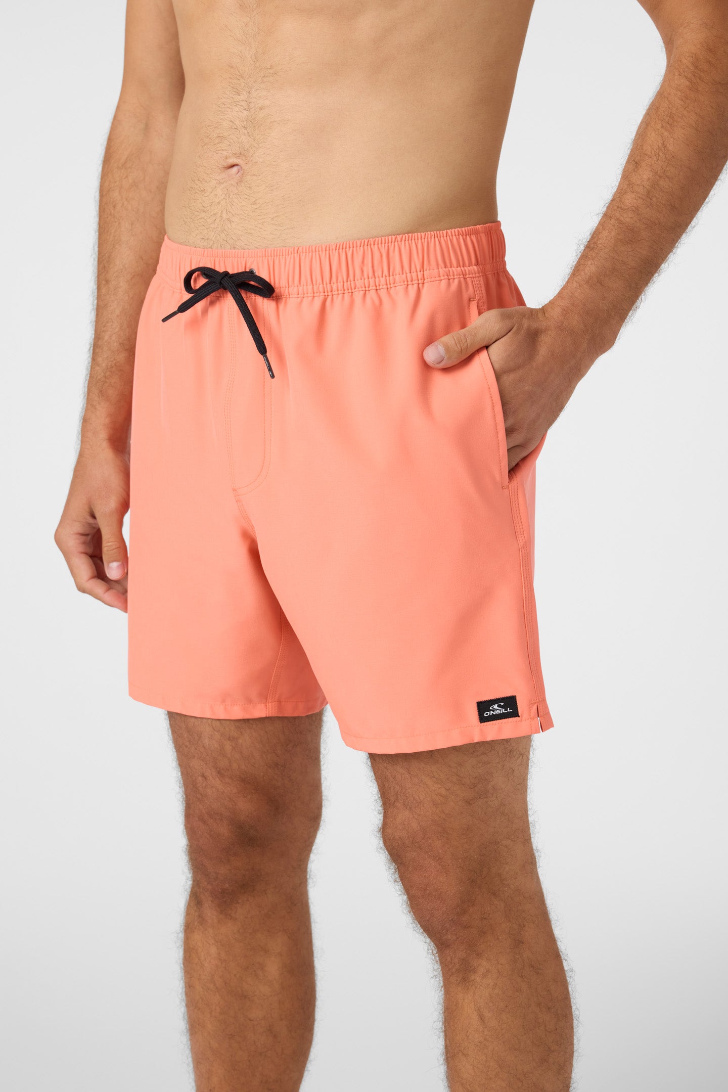 Lennox Hermosa Solid 17 Swim Trunks - Image 4