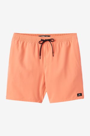 Lennox Hermosa Solid 17 Swim Trunks