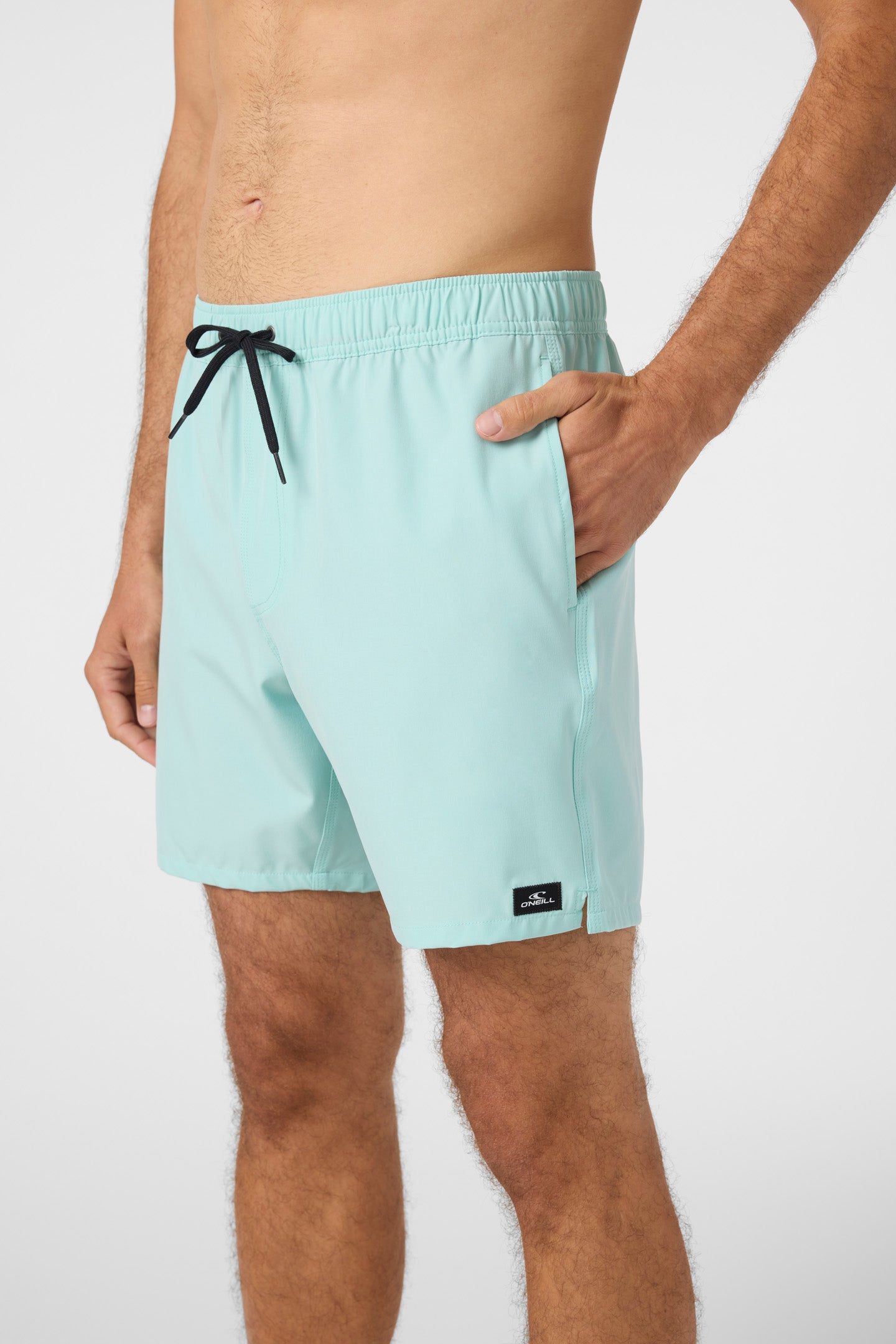 Lennox Hermosa Solid 17 Swim Trunks - Image 4