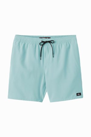 Lennox Hermosa Solid 17 Swim Trunks
