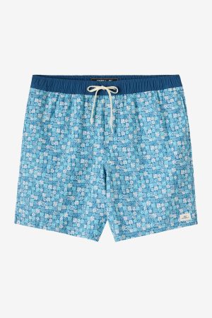 Hermosa Elastic Waist 17 Swim Trunks