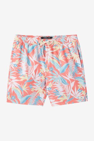 Hermosa E-Waist 17 Swim Trunks