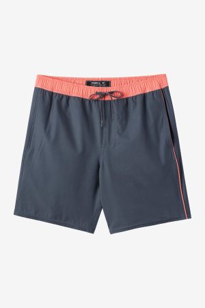 Hermosa Side Panel 17 Swim Trunks