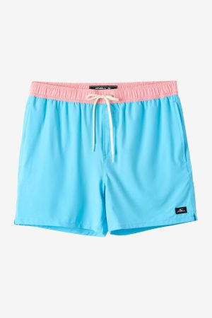 Hermosa Light Lined 15 Swim Trunks