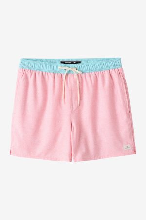 Hermosa Light Lined 15 Swim Trunks