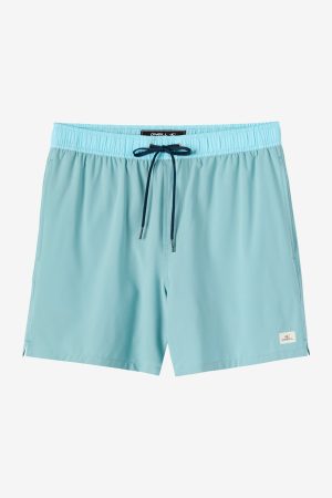 Hermosa Light Lined Elastic Waist 17 Swim Trunks