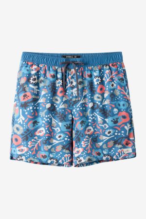 Hermosa Light Lined 17 Swim Trunks