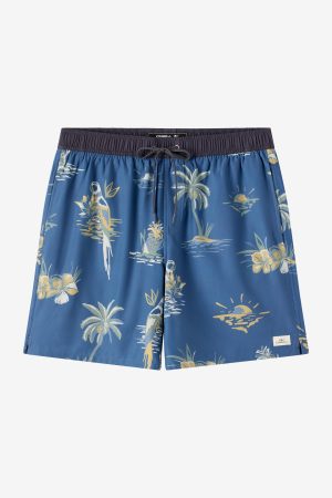 Hermosa Light Lined Elastic Waist 17 Swim Trunks