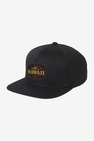 Hawaii Snapback Hat