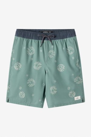 Boy's Hermosa Elastic Waist Lined 16 Swim Trunks