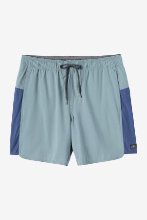 Perform Light Tech Panel Lined Elastic Waist 17 Hybrid Shorts